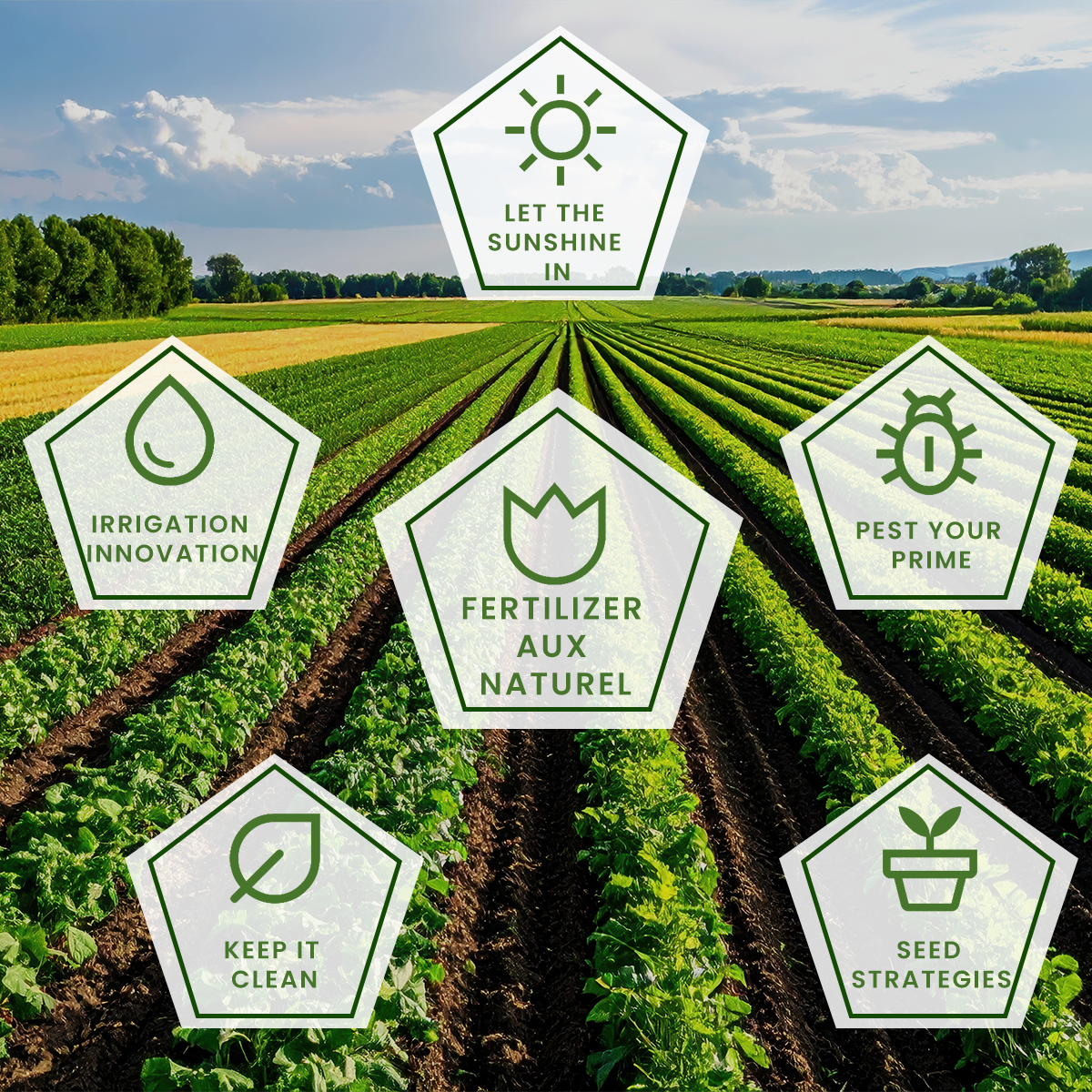 10 Products and Practices for Sustainable Farming